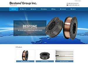 BESTONE GROUP INC